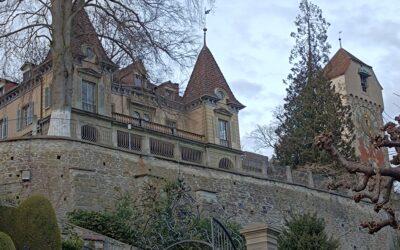 Sanierung Parkanlage Villa Musegg